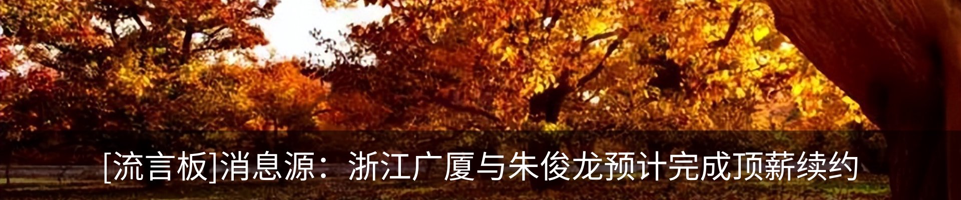 新闻动态